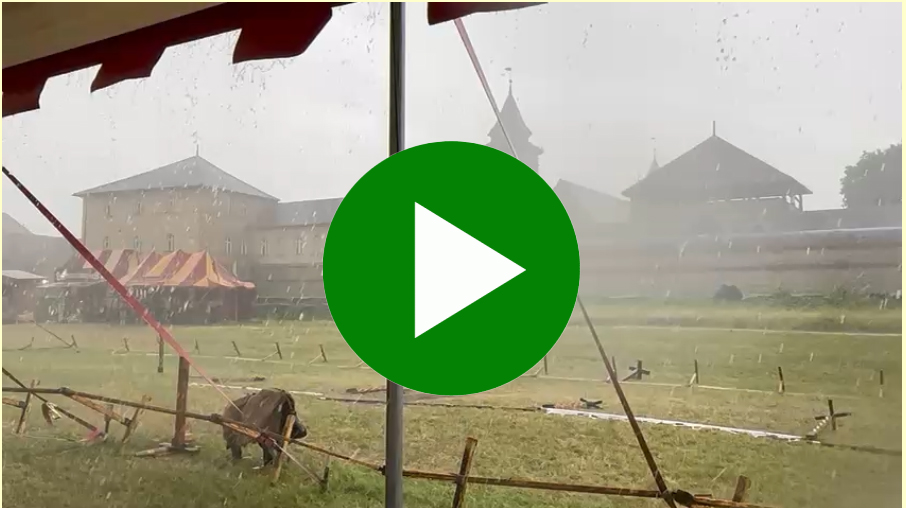 Link zu Video 4